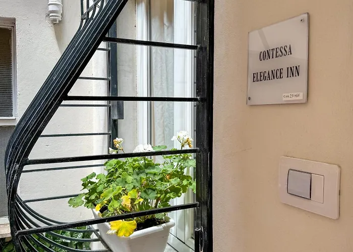 Contessa Elegance *